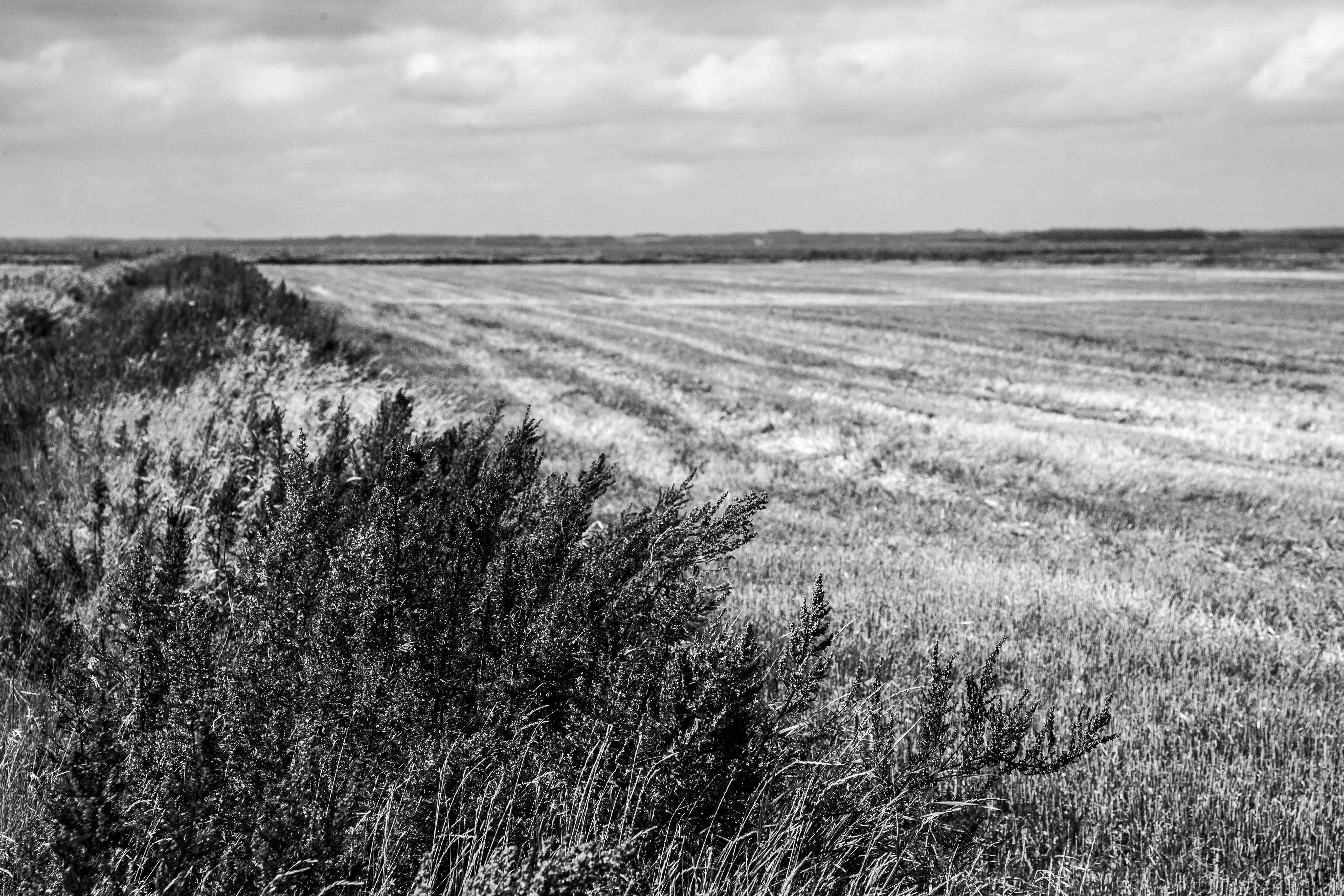 Landinspektørfirmaet_Ejendomsret_udstykning