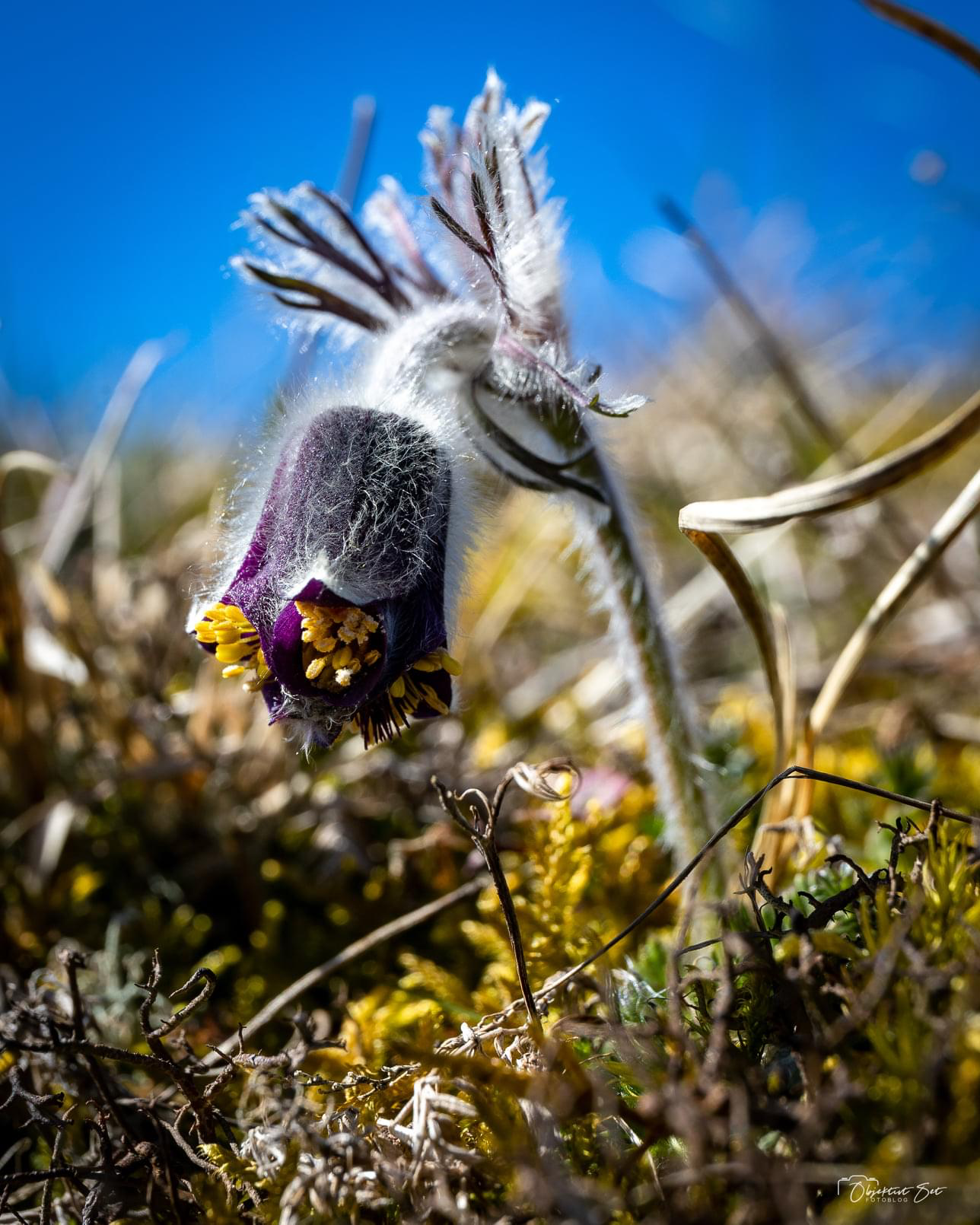 Ejendomsret COWI Natur Arealer